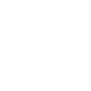DrochMan29's emblem