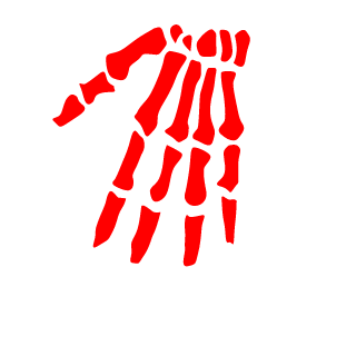 peqenho's emblem