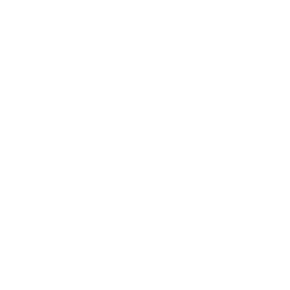 Maverick__sdm's emblem