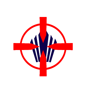 FalconFighterCZ's emblem