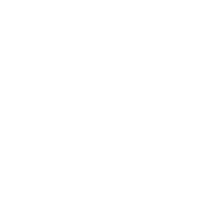 RecklessAim's emblem