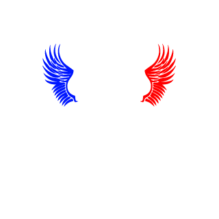 Willhax's emblem