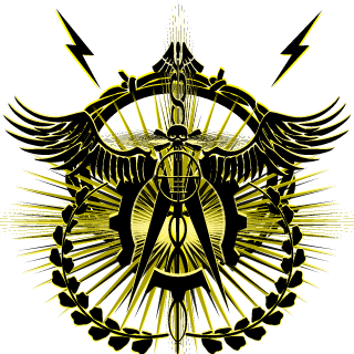 Lethal Sources DivXIII's emblem