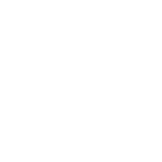 NoobHunter696's emblem