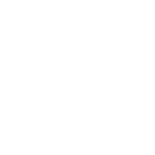 Flarez Dynamite's emblem
