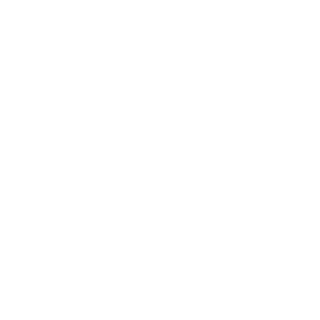 viArt-eu's emblem
