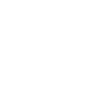 Iball2's emblem