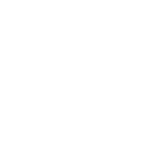 LBNSFRH's emblem