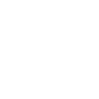 ALEKSEI-SYSINSKI's emblem