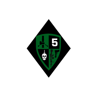 11th_SF_CamoHawk's emblem