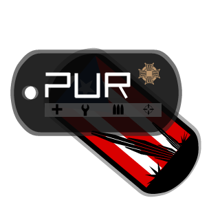 Boricuas Delta Force's emblem