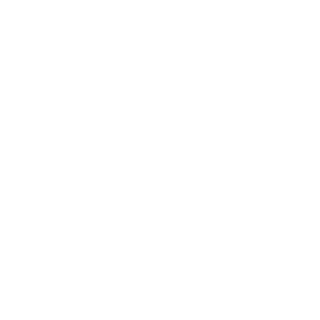 OORLOGSMISDADIGE's emblem