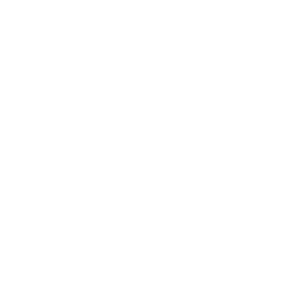 Xanderbb9933's emblem