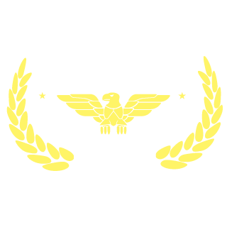 MrMario411's emblem