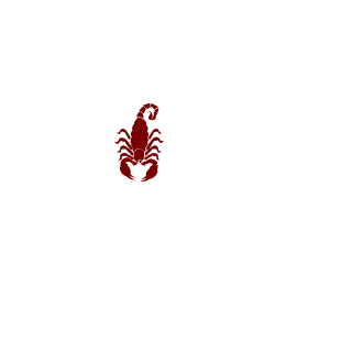 5thprotocol's emblem