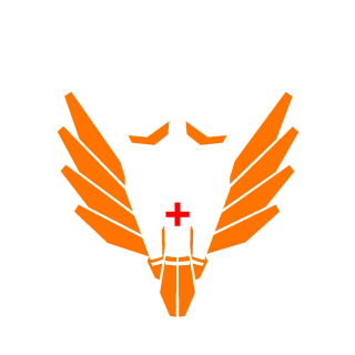 Lo_Bug81's emblem