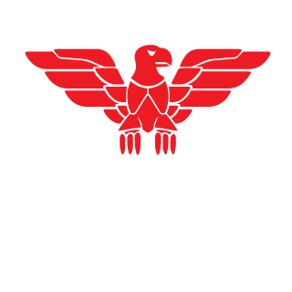 P30DJMD's emblem