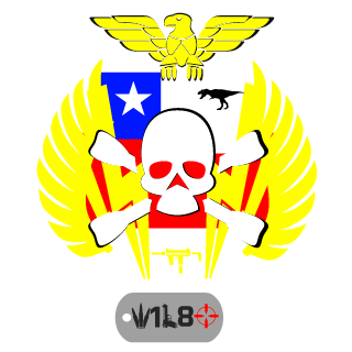 VDI_game's emblem