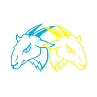 pseudokibice's emblem