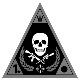 TVF_Steve's emblem