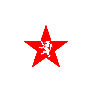 superSvyatik's emblem