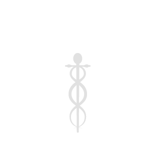 668d12c35aefade9's emblem