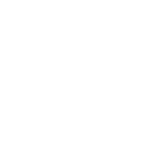 BattleMastert90's emblem