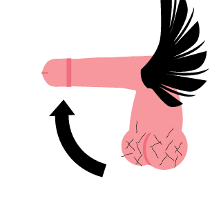 ranoffanderson's emblem