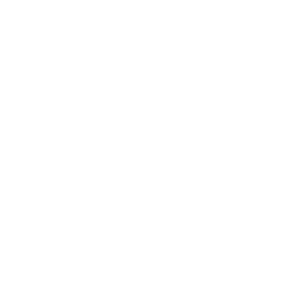 len9191's emblem