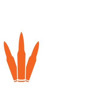 3520000's emblem