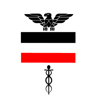 amirboy2004's emblem