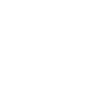 Challenger787's emblem