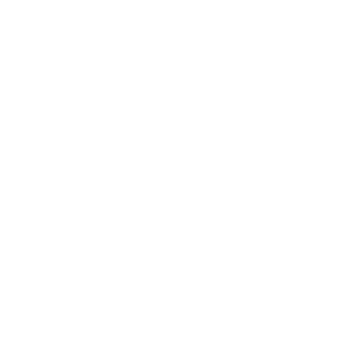 BloodfuryDamned's emblem