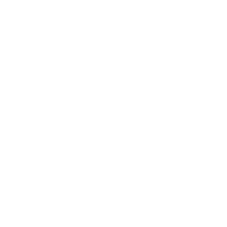 hansy2887's emblem