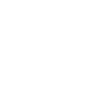 SSBBD's emblem