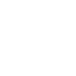 VproVindicta's emblem