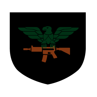 1r0nLuNg5's emblem