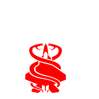 SrThiago777's emblem