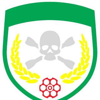 DIREKTOR911's emblem