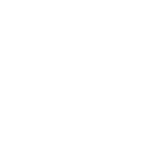 LGDSF's emblem