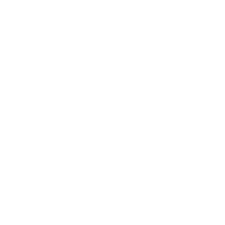 VOINWORK's emblem