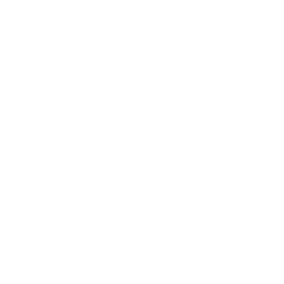 SH1NI28's emblem