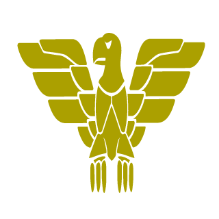 75Storm75's emblem