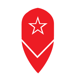 Vasyavcube's emblem