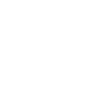 Vinicinpistola's emblem