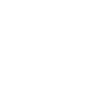 SchmetterLong's emblem