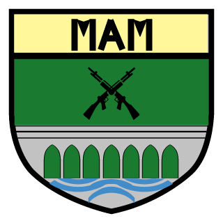 MirandelAirsoftMilitia's emblem