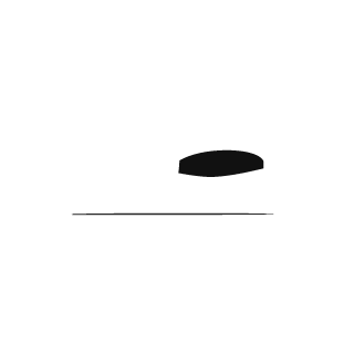 BlessedSeal's emblem