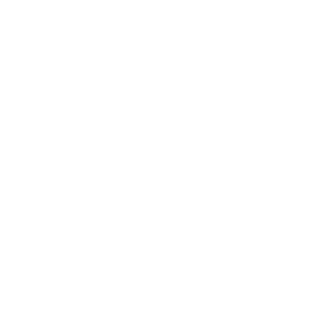 SONYTOM-HSU's emblem