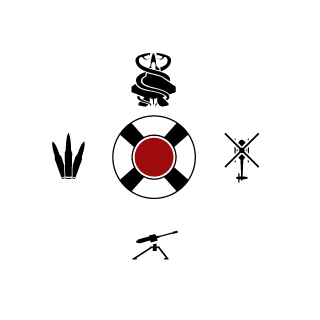 sormer013's emblem